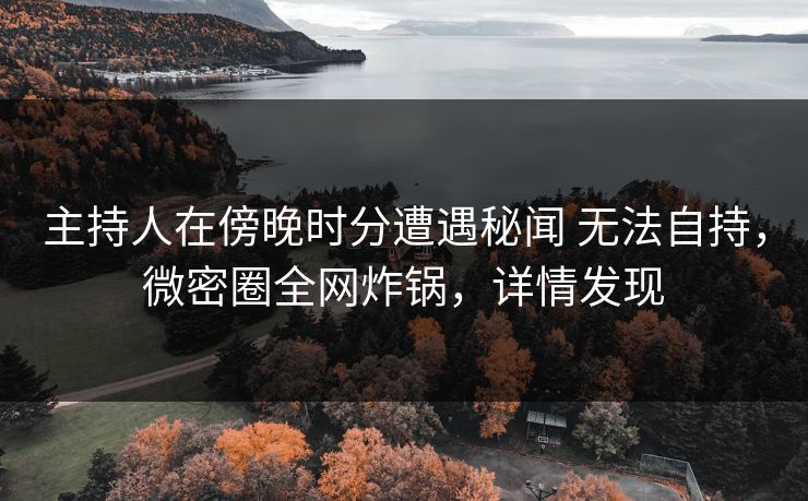 主持人在傍晚时分遭遇秘闻 无法自持，微密圈全网炸锅，详情发现