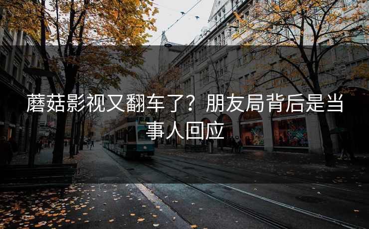 蘑菇影视又翻车了？朋友局背后是当事人回应